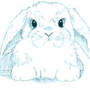 Раскраска Кроликов на Новый год Раскраска Кроликов на Новый год