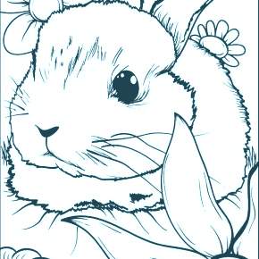 Раскраска Кроликов на Новый год Раскраска Кроликов на Новый год