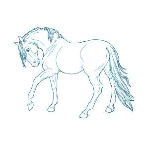 Раскраски Лошади на Новый год Раскраски Лошади на Новый год