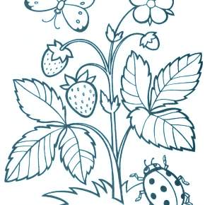 Раскраски Лето Раскраски Лето