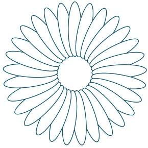 Раскраска Ромашка Раскраска Ромашка