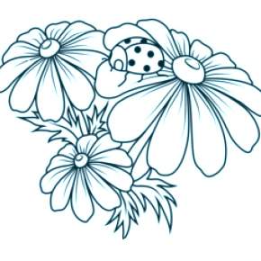 Раскраска Ромашка Раскраска Ромашка