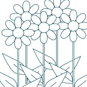 Раскраска Ромашка Раскраска Ромашка