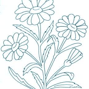Раскраска Ромашка Раскраска Ромашка