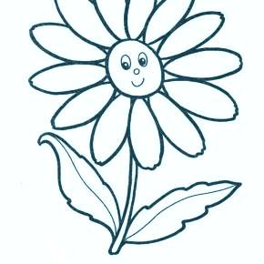 Раскраска Ромашка Раскраска Ромашка