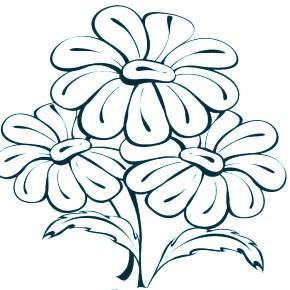 Раскраска Ромашка Раскраска Ромашка