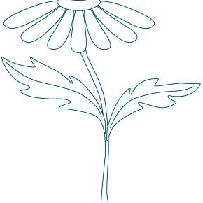 Раскраска Ромашка Раскраска Ромашка