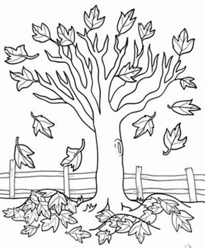 Раскраски листьев и плодов для детей скачать