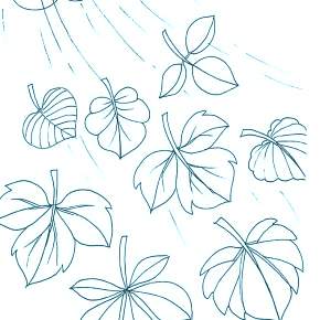 Раскраски Осенний листопад Раскраски Осенний листопад