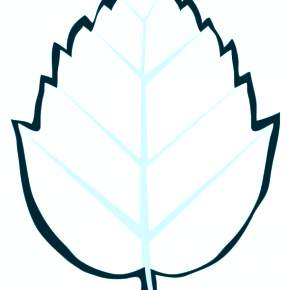 Раскраски Осенний листопад Раскраски Осенний листопад