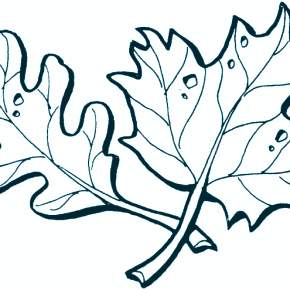 Раскраски Осенний листопад Раскраски Осенний листопад