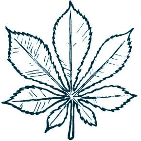 Раскраски Осенний листопад Раскраски Осенний листопад