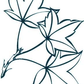 Раскраски Осенний листопад Раскраски Осенний листопад