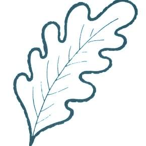 Раскраски Осенний листопад Раскраски Осенний листопад