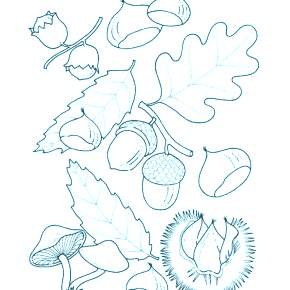 Раскраски Осенний листопад Раскраски Осенний листопад