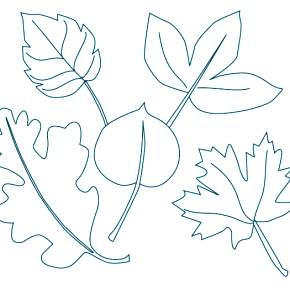 Раскраски Осенний листопад Раскраски Осенний листопад