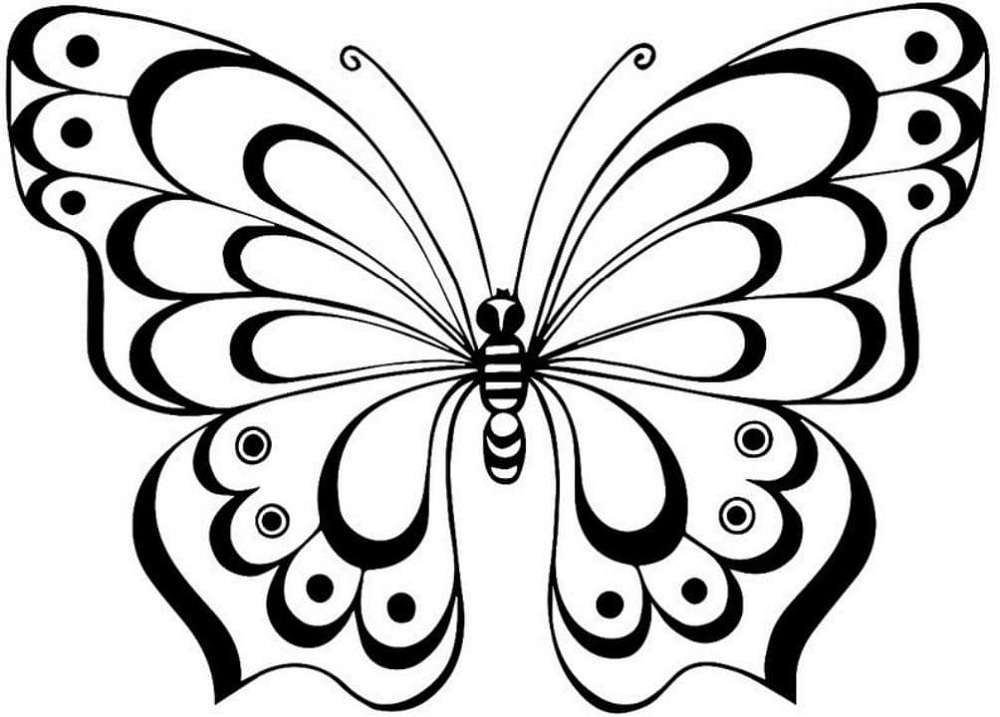 Бабочки. Раскраски по цифрам