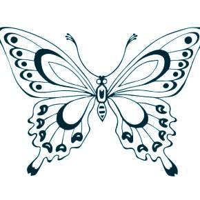 Раскраски Бабочки Раскраски Бабочки