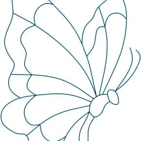 Раскраски Бабочки Раскраски Бабочки