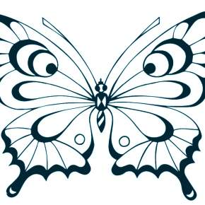 Раскраски Бабочки Раскраски Бабочки
