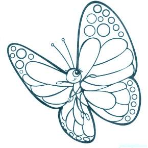 Раскраски Бабочки Раскраски Бабочки