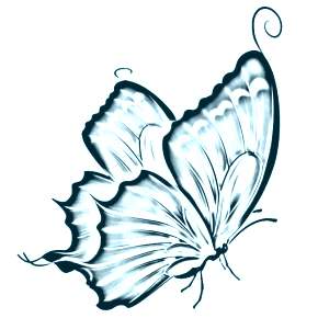 Раскраски Бабочки Раскраски Бабочки