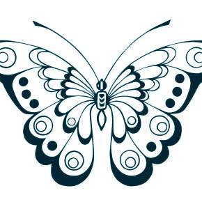 Раскраски Бабочки Раскраски Бабочки