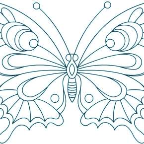 Раскраски Бабочки Раскраски Бабочки