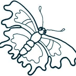 Раскраски Бабочки Раскраски Бабочки