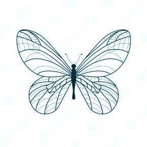 Раскраски Бабочки Раскраски Бабочки