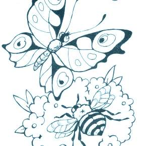 Раскраски Бабочки Раскраски Бабочки