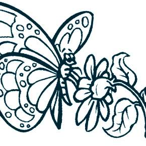 Раскраски Бабочки Раскраски Бабочки
