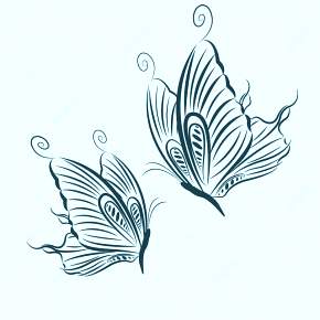 Раскраски Бабочки Раскраски Бабочки