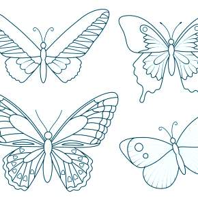 Раскраски Бабочки Раскраски Бабочки