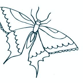 Раскраски Бабочки Раскраски Бабочки