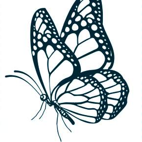 Раскраски Бабочки Раскраски Бабочки