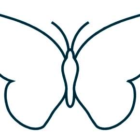 Раскраски Бабочки Раскраски Бабочки